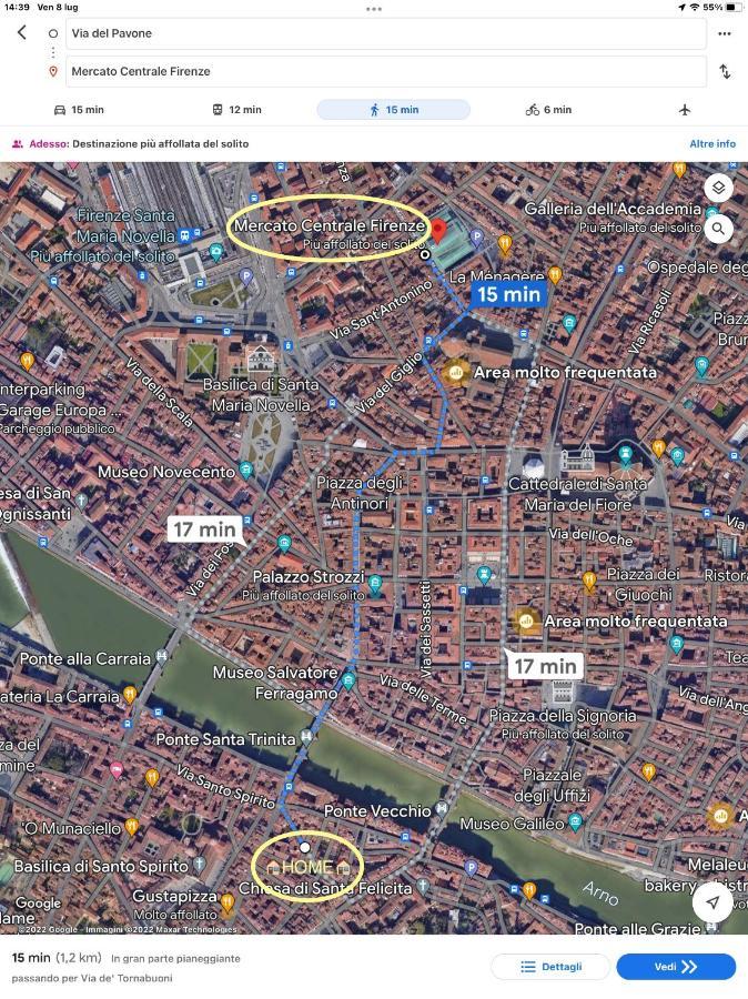 Uffizi & Santo Spirito Family/Groups Apartment Florence Ngoại thất bức ảnh