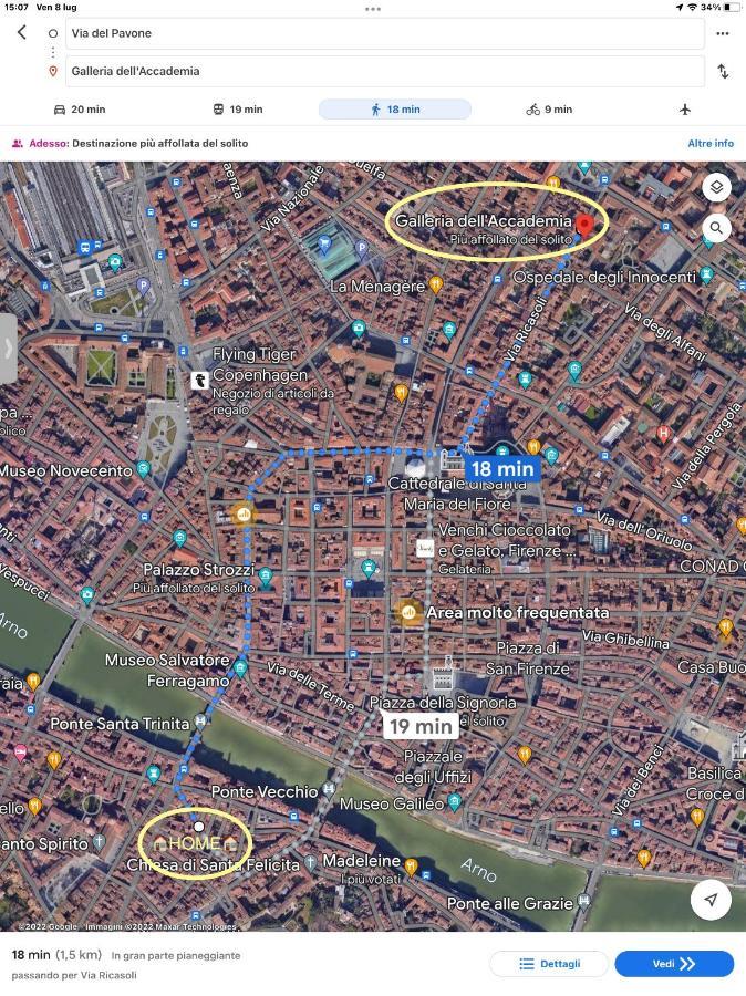 Uffizi & Santo Spirito Family/Groups Apartment Florence Ngoại thất bức ảnh