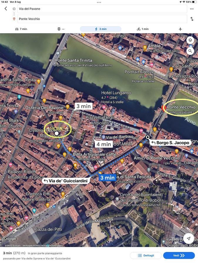 Uffizi & Santo Spirito Family/Groups Apartment Florence Ngoại thất bức ảnh