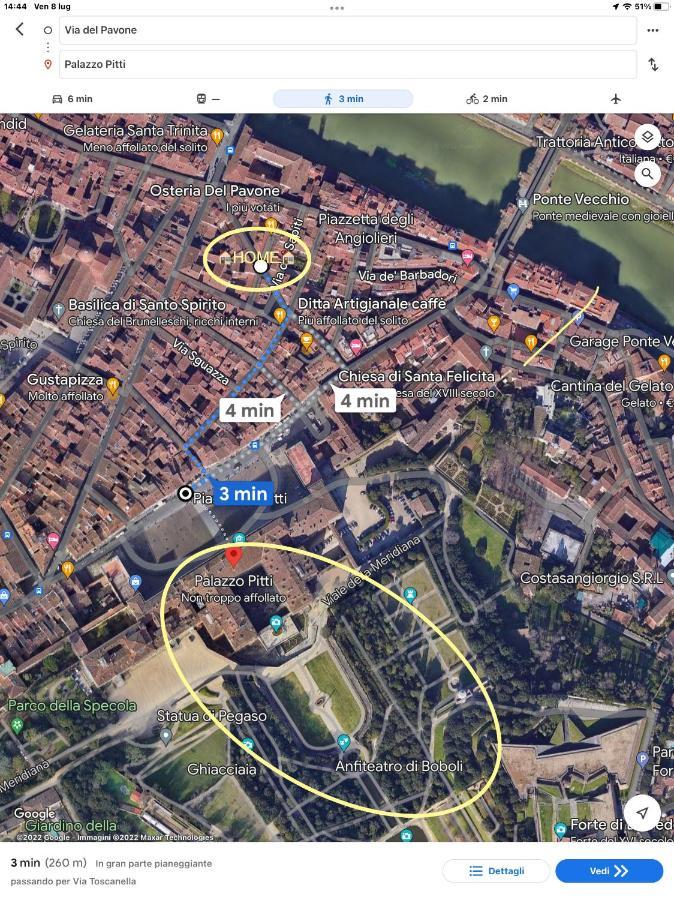 Uffizi & Santo Spirito Family/Groups Apartment Florence Ngoại thất bức ảnh